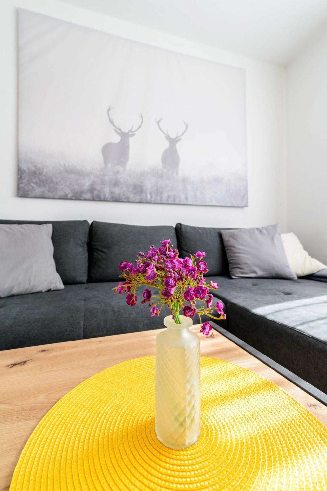 Traunkai Apartments Bad Ischl Eksteriør billede